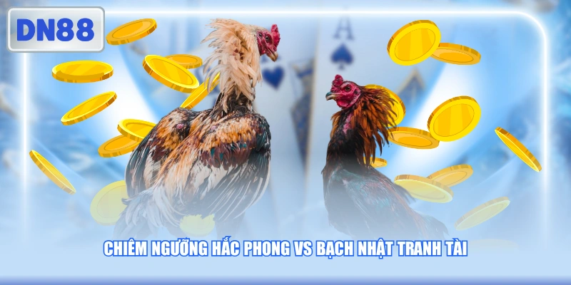 Chiêm ngưỡng Hắc Phong vs Bạch Nhật tranh tài