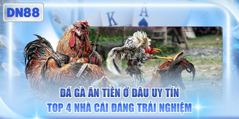 Đá Gà Ăn Tiền Ở Đâu Uy Tín - Top 4 Nhà Cái Đáng Trải Nghiệm